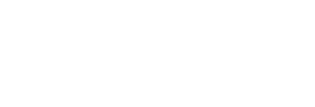 BIZEN logo_trang-07